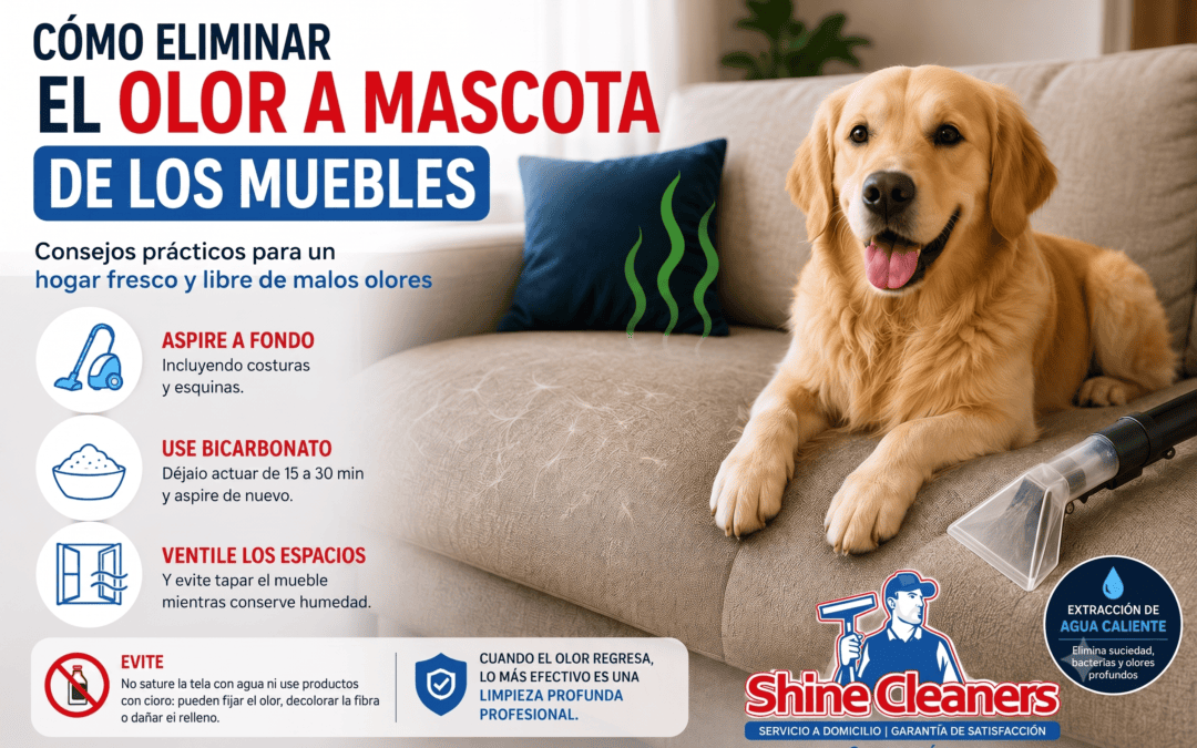 olor a mascota