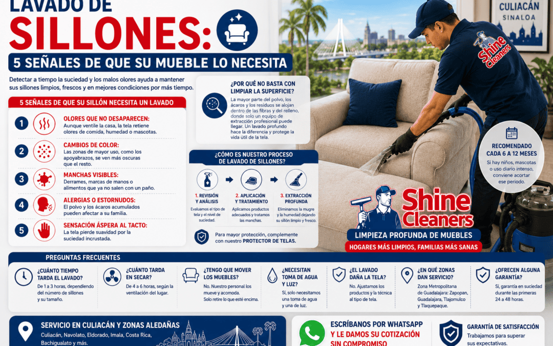 Lavado de sillones profesional en Culiacán por Shine Cleaners